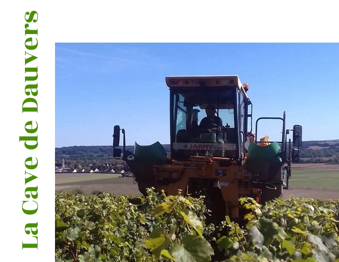 vignobles d'exceptions dans la Sarthe