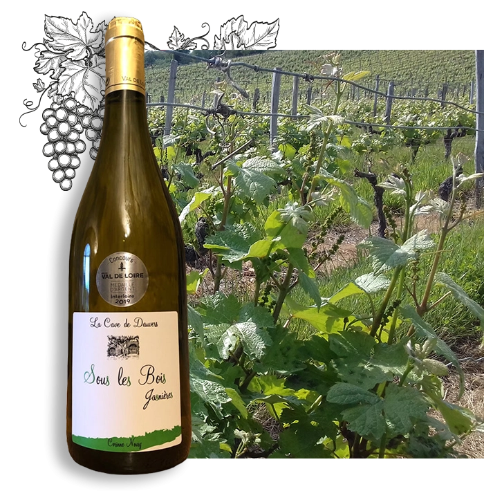 Vente de vin à Ruille-sur-Loir dans la Sarthe (72)